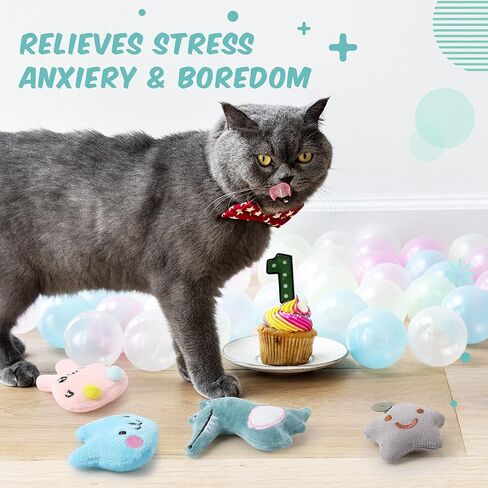 Gejoy 20 قطعة ألعاب Catnip للقطط القطنية القط الداخلية Cat Chew Toys جميلة هريرة Catnip هريرة ترفيهية دمى هريرة تفاعلية (جميلة) in Saudi Arabia