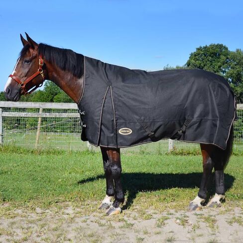 Country Pary Paladin High Neck Thinout Sheet (78) in Kuwait