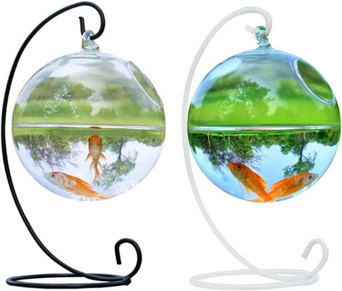 Transparent Spherical Glass Handmade Fish for Round Shape Hanging Glass Aquarium Fish Bowl Clear Plant Terrarium Gi in Saudi Arabia