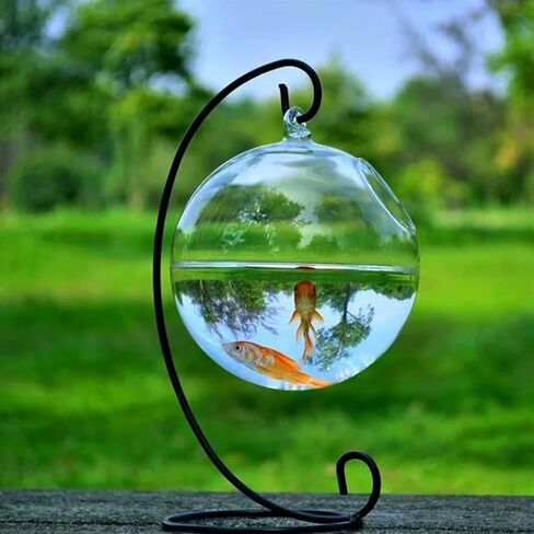 Transparent Spherical Glass Handmade Fish for Round Shape Hanging Glass Aquarium Fish Bowl Clear Plant Terrarium Gi in Saudi Arabia
