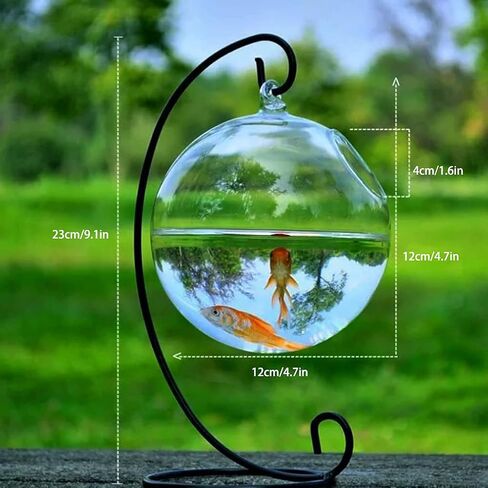 Transparent Spherical Glass Handmade Fish for Round Shape Hanging Glass Aquarium Fish Bowl Clear Plant Terrarium Gi in Saudi Arabia