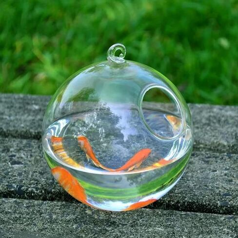 Transparent Spherical Glass Handmade Fish for Round Shape Hanging Glass Aquarium Fish Bowl Clear Plant Terrarium Gi in Saudi Arabia