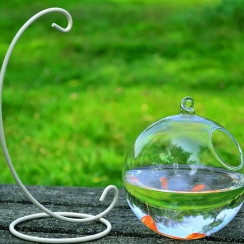 Transparent Spherical Glass Handmade Fish for Round Shape Hanging Glass Aquarium Fish Bowl Clear Plant Terrarium Gi in Saudi Arabia