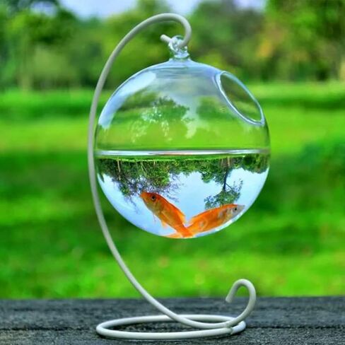 Transparent Spherical Glass Handmade Fish for Round Shape Hanging Glass Aquarium Fish Bowl Clear Plant Terrarium Gi in Saudi Arabia