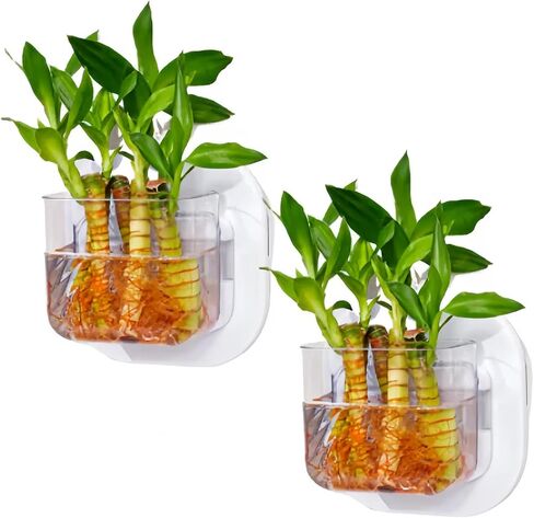 Wall Fish Tank, Wall Plastic Vase, 0.4 Gallon Mini Wall Mounted Fish Tank, 1500ml Wall Hydroponic Plants, Hanging Hydroponic Plant Pot, Living Room Decoration(1Pc) in Saudi Arabia
