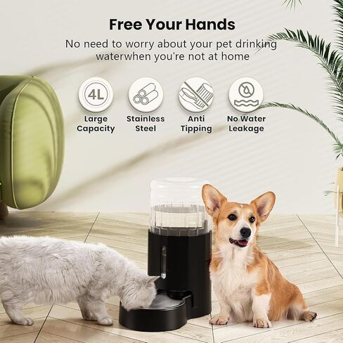 CZPET Automatic 4L/135Oz/1Gal Cat Water Dispenser with Stainless Steel Bowl, Gravity Waterer for Small Medium Dog Puppy Kitten (Black) in Kuwait
