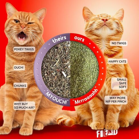 Fiend Catnip Safety-Cut 100 ٪ Pure Purent Fine Cat nip للقطط والقطط-علبة فائقة القوية ، أمريكا الشمالية-1 كوب (34.5 جرام)-المضي قدمًا ، قم بإنشاء وحش! in Kuwait