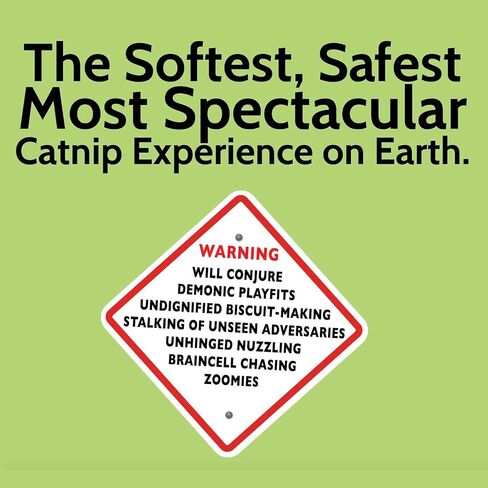 Fiend Catnip Safety-Cut 100 ٪ Pure Purent Fine Cat nip للقطط والقطط-علبة فائقة القوية ، أمريكا الشمالية-1 كوب (34.5 جرام)-المضي قدمًا ، قم بإنشاء وحش! in Kuwait