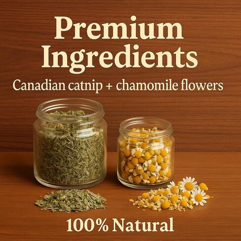 Whisker Zen Natural Catnip ومزيج البابونج للقطط ، مزيج العشبية المهدئ (كيس 4 أوقية) in Kuwait