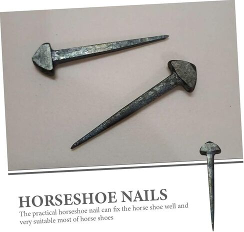 Toyvian 50Pcs Sturdy Horseshoe Nails Replaceable Hoof Nails for Professional Horse Equipment Compact Horseshoe Tool for Horse Supply and in Saudi Arabia