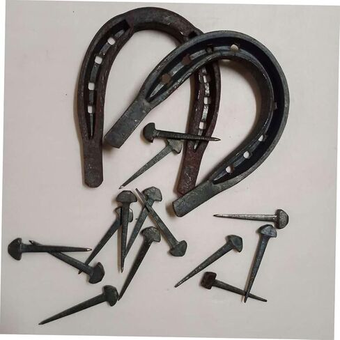 Toyvian 50Pcs Sturdy Horseshoe Nails Replaceable Hoof Nails for Professional Horse Equipment Compact Horseshoe Tool for Horse Supply and in Saudi Arabia
