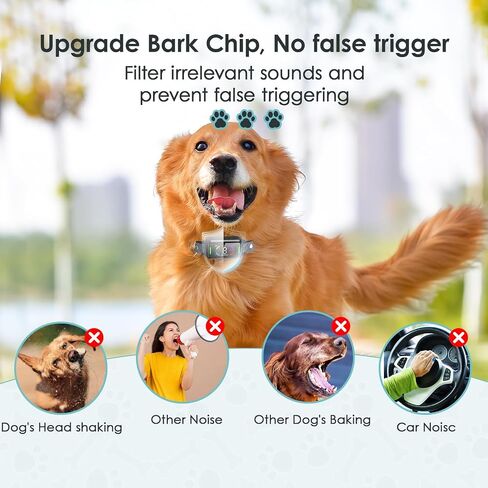 Dog Bark Collar Automatic Shock Collar Rechargeable Anti-Bark Training Collar Multifunctional Waterproof Dogs Stop Barker with 6 Safe Training Modes for Dog Weighing Over 8 Pounds (Black) in Saudi Arabia