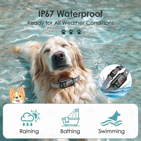 Dog Bark Collar Automatic Shock Collar Rechargeable Anti-Bark Training Collar Multifunctional Waterproof Dogs Stop Barker with 6 Safe Training Modes for Dog Weighing Over 8 Pounds (Black) in Saudi Arabia