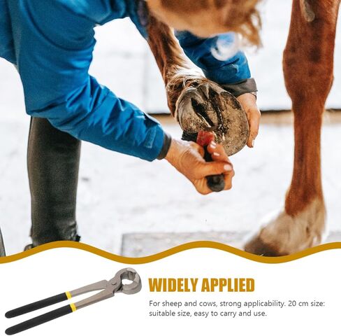 BESPORTBLE Hoof Trimming Pliers - Heavy-Duty Cattle and Sheep Hoof Cutter Lightweight and Portable Farrier Tool for Easy Care in Saudi Arabia
