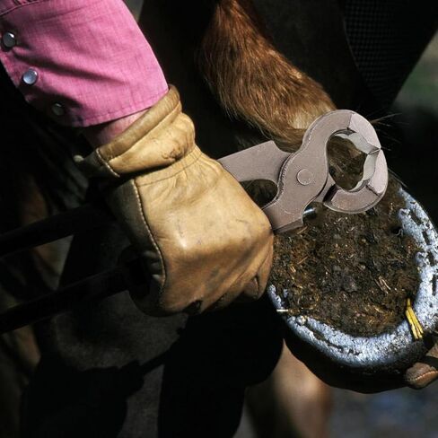 BESPORTBLE Hoof Trimming Pliers - Heavy-Duty Cattle and Sheep Hoof Cutter Lightweight and Portable Farrier Tool for Easy Care in Saudi Arabia