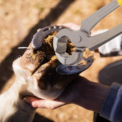 BESPORTBLE Hoof Trimming Pliers - Heavy-Duty Cattle and Sheep Hoof Cutter Lightweight and Portable Farrier Tool for Easy Care in Saudi Arabia