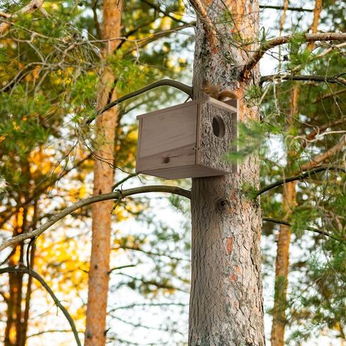 1 Pcs Squirrel Nesting Box Squirrel House for Outside Nesting Hanging Handcrafted Thick Wood Winter Chipmunk Outdoor Shelter Garden Yard Support Local Wildlife Easy to Install(Horizontal) in Saudi Arabia