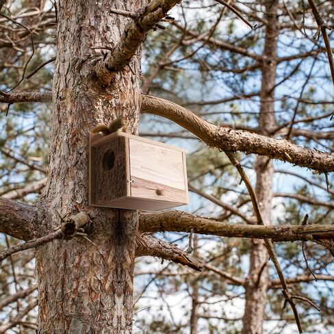 1 Pcs Squirrel Nesting Box Squirrel House for Outside Nesting Hanging Handcrafted Thick Wood Winter Chipmunk Outdoor Shelter Garden Yard Support Local Wildlife Easy to Install(Horizontal) in Saudi Arabia
