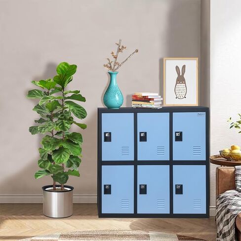 MECOLOR Metal Storage Lockers Employee lockers Small lockers and Business lockers for Home, Office, Garage,Gym,School... (P6D-BU) in Kuwait