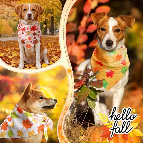240 Pcs Fall Bandanas for Dogs Autumn with Maple Leaves Pumpkin Patterns Thanksgiving Soft Bibs Adjustable Triangle Doggie Scarf for Small Medium Large Pet Costume 25.6 x 17.7 x 17.7 Inch in Saudi Arabia