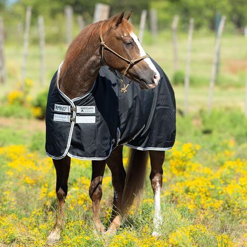 Horseware Ireland Amigo Stock Horse T/O Lite Black/Silver 80 in Saudi Arabia