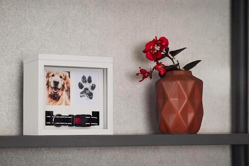 OtterPets Black Dog Urn for Ashes 4 Customizable Displays Ink Paw Print Kit in Saudi Arabia
