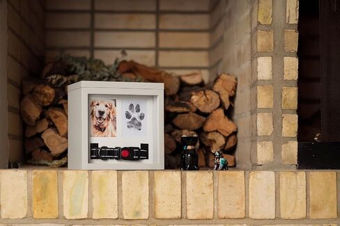 OtterPets Black Dog Urn for Ashes 4 Customizable Displays Ink Paw Print Kit in Saudi Arabia