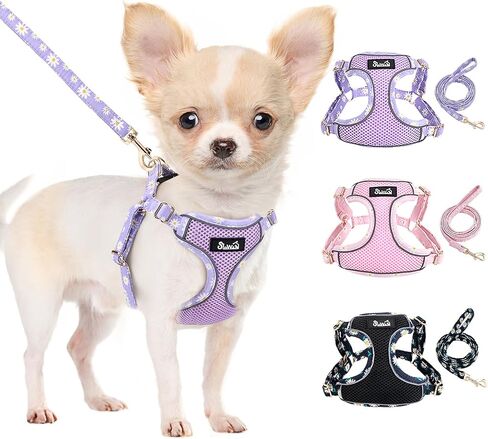 Lukovee No Pull Puppy Harness and Leash Set - Soft Lightweight Escape Proof Puppy Vest Harness, Breathable Adjustable Pet Harness with Dog Leash for Small Dogs (Purple, XXS) in Saudi Arabia