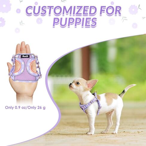 Lukovee No Pull Puppy Harness and Leash Set - Soft Lightweight Escape Proof Puppy Vest Harness, Breathable Adjustable Pet Harness with Dog Leash for Small Dogs (Purple, XXS) in Saudi Arabia