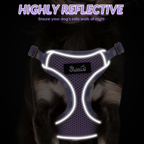 Lukovee No Pull Puppy Harness and Leash Set - Soft Lightweight Escape Proof Puppy Vest Harness, Breathable Adjustable Pet Harness with Dog Leash for Small Dogs (Purple, XXS) in Saudi Arabia