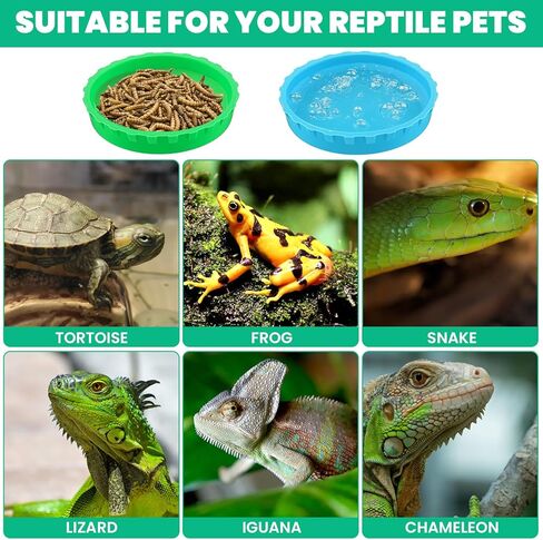 6 Pcs Gecko Feeding Cups,Silicone Crested Gecko Food and Water Bowl,Reptile Feeding Cups for Geckos,Isopods,Lizards,Tarantula,Small Pets,Easy Clean & 6 Colors in Kuwait