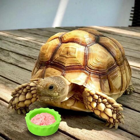 7pcs Crested Gecko Food Dish,Silicone Cup for Crested Gecko,Silicone Cresteds Geckos Food and Water Bowl,Tarantula, Isopods, Lizards, Small Pets, Easy Clean & 7 Colors in Saudi Arabia