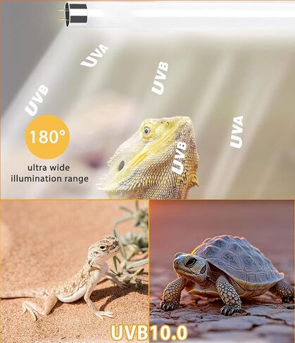 3 Pack T5 10.0 UVB Reptile Light Bulb 8W 12 Inch, UVA UVB Lamp for Bearded Dragons, Chameleons, Turtles, Tortoises, Lizards - Desert & Tropical Reptiles in Saudi Arabia