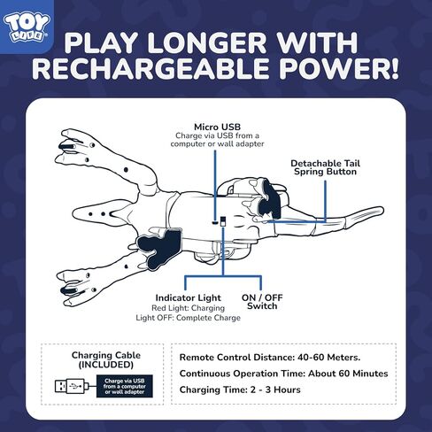 Steam Life Control Control Velociraptor Dinosaur Toy للأطفال - RC Dino واقعية مع الأصوات والأضواء وأفعال المشي - لعبة Raptor القابلة لإعادة الشحن للبنين والبنات in Kuwait