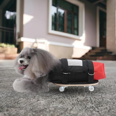 Custom-Fit Dog Mobility Cart, Adjustable Pet Wheelchair for Cats and Dogs, Polyester Mesh Design, Quiet Wheels, Sizes S/M/L in Saudi Arabia