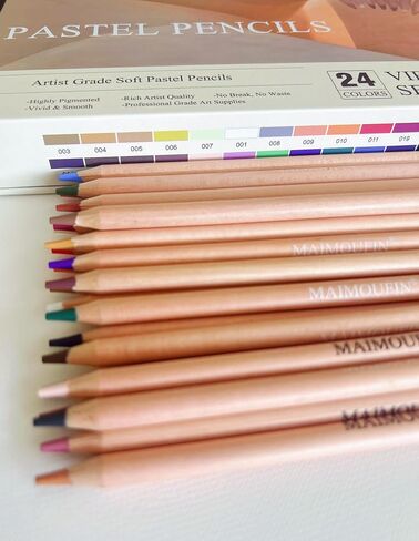 Soft Pastel Pencils 24 Colors Vibrant Drawing Pencil Set Professional Grade Pastels Art Supplies for Drawing Sketching Coloring (Brown) in Kuwait