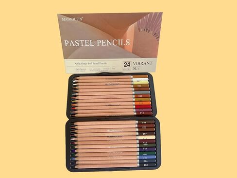 Soft Pastel Pencils 24 Colors Vibrant Drawing Pencil Set Professional Grade Pastels Art Supplies for Drawing Sketching Coloring (Brown) in Kuwait