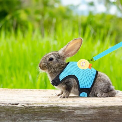 4-Pack Rabbit Harness and Leash Set, Rabbit Leash and Harness Set Escape Proof, Adjustable, with 2 Pendants, for Ferrets Pigs Puppies Small Animals Pets Outdoor Walking Supplies (Pink/Blue) in Saudi Arabia