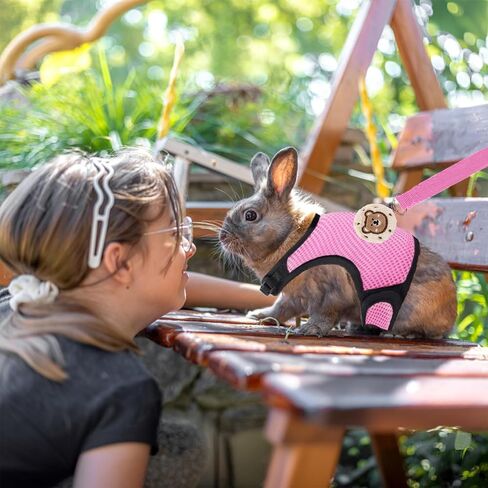 4-Pack Rabbit Harness and Leash Set, Rabbit Leash and Harness Set Escape Proof, Adjustable, with 2 Pendants, for Ferrets Pigs Puppies Small Animals Pets Outdoor Walking Supplies (Pink/Blue) in Saudi Arabia