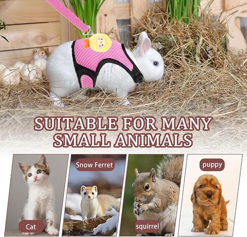 4-Pack Rabbit Harness and Leash Set, Rabbit Leash and Harness Set Escape Proof, Adjustable, with 2 Pendants, for Ferrets Pigs Puppies Small Animals Pets Outdoor Walking Supplies (Pink/Blue) in Saudi Arabia
