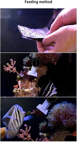 Mini Strong Magnetic Seaweed Feeding Clip Clamp Aquarium Fish Tank Feeder in Saudi Arabia
