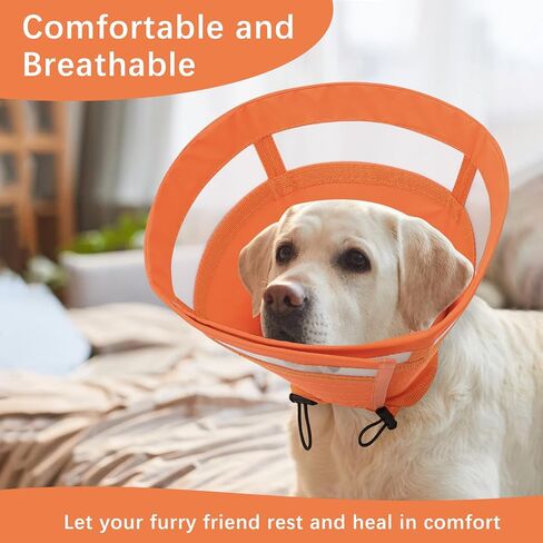ASENKU Dog Cone Collar, Soft Adjustable Cone for Dogs to Stop Licking, Lightweight Recovery Dog Cone After Surgery, Pet E-Collar for Small, Medium & Large Dogs(Blue, XL) in Kuwait