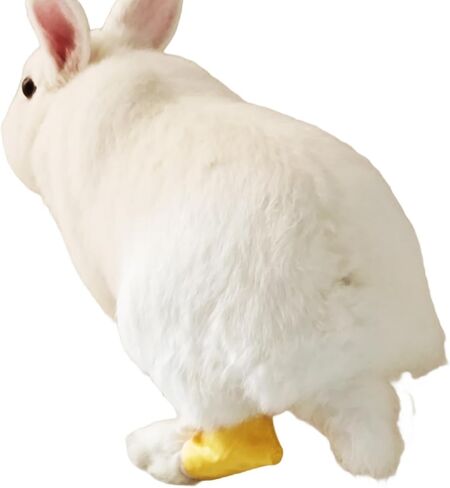 Waterproof Mini Rex Rabbit Hock Socks Bunny Sock for Sore Hocks Elbow Protective Socks for Bunny Surgery Recovery Small Rabbits in Saudi Arabia