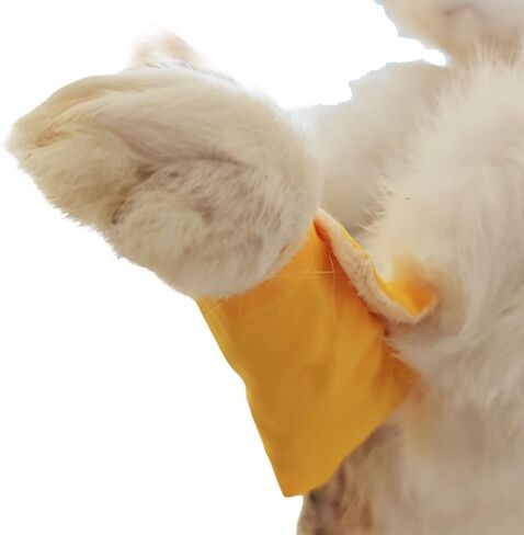Waterproof Mini Rex Rabbit Hock Socks Bunny Sock for Sore Hocks Elbow Protective Socks for Bunny Surgery Recovery Small Rabbits in Saudi Arabia