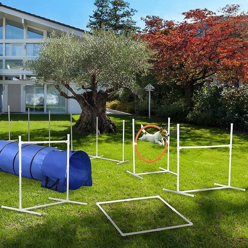 8 Piece Dog Training Equipment, Modern Dog Course Equipment with 9.8' Tunnel and Canine Whistle Portable Dog Motion Equipment with Pause Box and Carry Bag for Outdoor Dog Training in Saudi Arabia