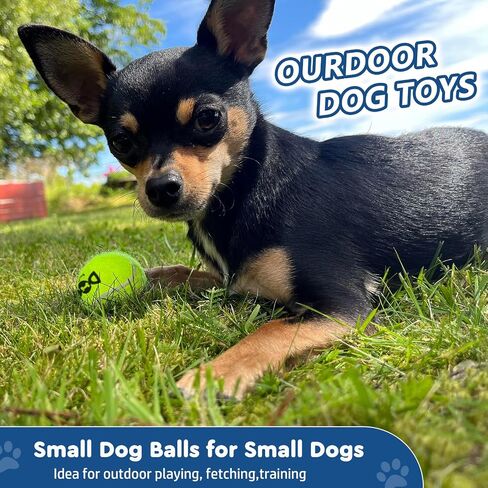 Small Tennis Balls for Dogs - 20 Pack Squeaky Dog Balls Toys with Mesh Bag, SGS Certified, Durable Non-Toxic, Built in Squeaker, Small Breeds in Kuwait