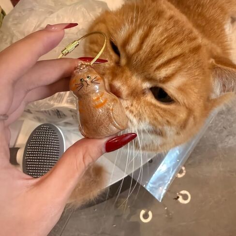 Pet Fur Memorial Keychain-Transparent cat Hair Keychain,Pendant for Cat & Dog Hair Collection -Animal Lovers Keepsake Gift in Saudi Arabia