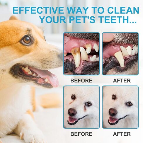 مناديل إصبع الأسنان للحيوانات الأليفة للكلاب - أذن الكلب مناديل ، مناديل أصابع تنظيف الأسنان للحيوانات الأليفة للقطار ، 50 ٪ in Kuwait