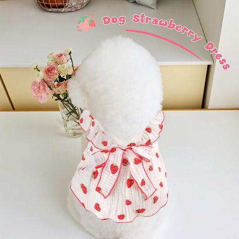 2 Pack Dog Dress Clothes for Small Dogs Girl with Leash Ring & Bow cat Dog Outfit Strawberry Printed Pet Cat Apparel Sweet Ruffled Chihuahua Yorkie Puppy Clothes in Kuwait