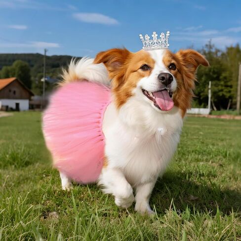 2 Pcs Dog Tutu Dress with Pearl Crown for Small Medium Pet Cat Dog Halloween Costume Dress for Ballet Birthday Party Wedding Photo Prop in Saudi Arabia